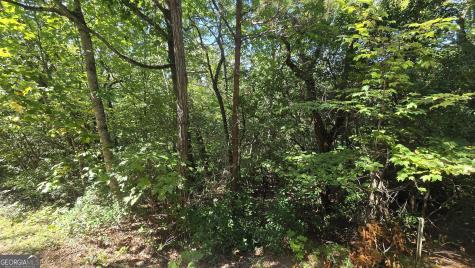 Lot 3b Victoria Woods Hiawassee GA 30546