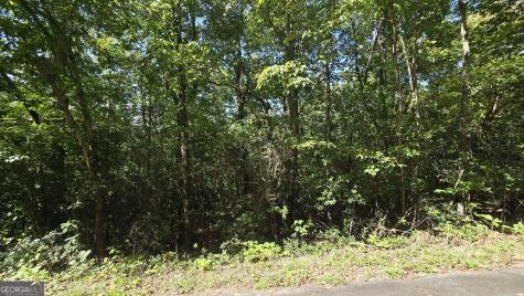 Lot 3b Victoria Woods Hiawassee GA 30546