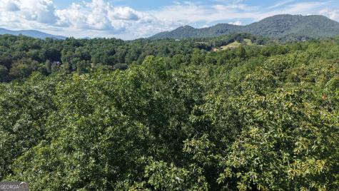Lot 3b Victoria Woods Hiawassee GA 30546
