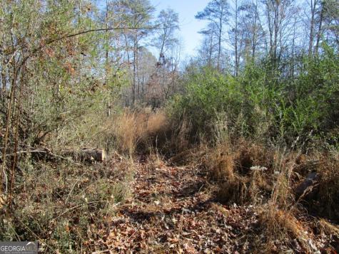 0 Stonehedge Drive Cleveland GA 30528