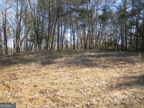 0 Stonehedge Drive Cleveland GA 30528