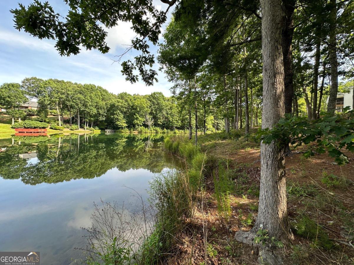1117 Rome Beauty Clarkesville GA 30523