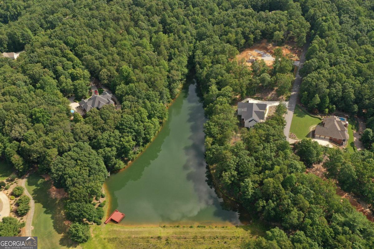 1117 Rome Beauty Clarkesville GA 30523