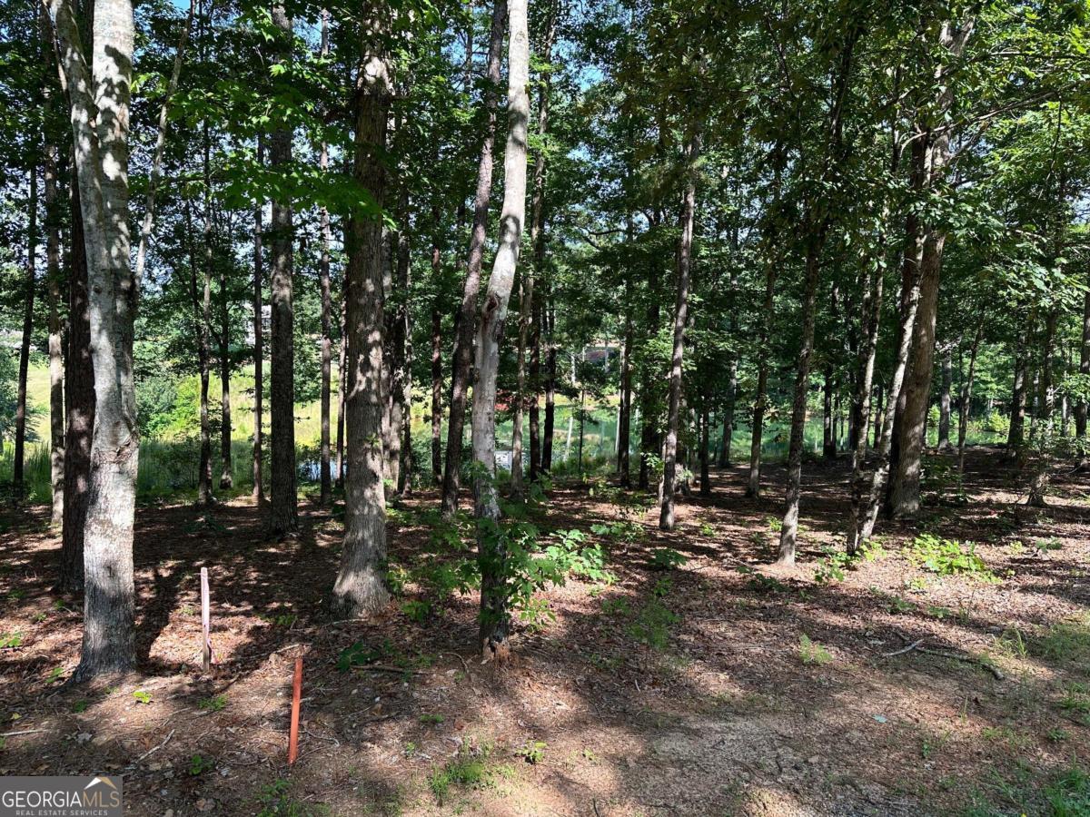 1117 Rome Beauty Clarkesville GA 30523