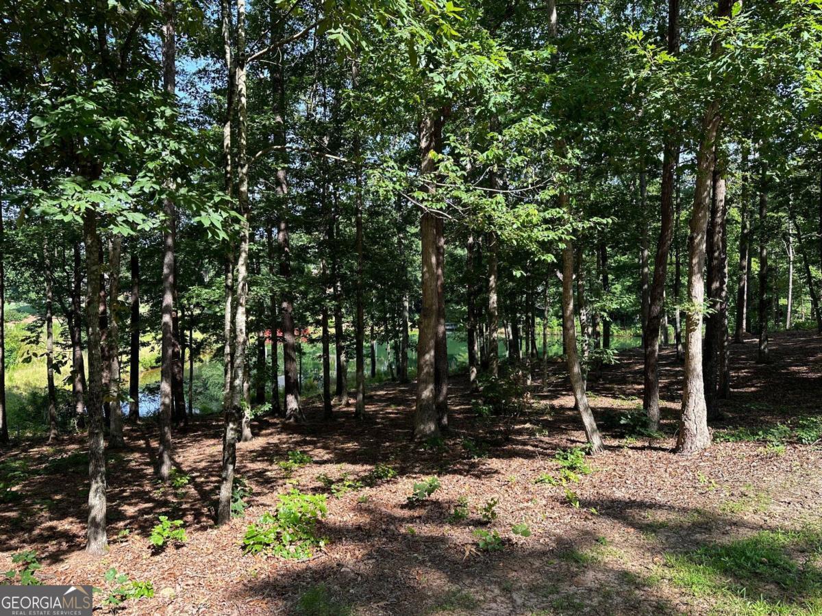 1117 Rome Beauty Clarkesville GA 30523