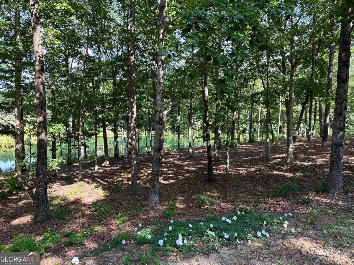 1117 Rome Beauty Clarkesville GA 30523