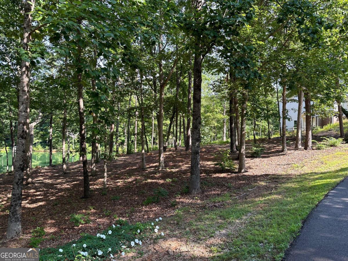 1117 Rome Beauty Clarkesville GA 30523