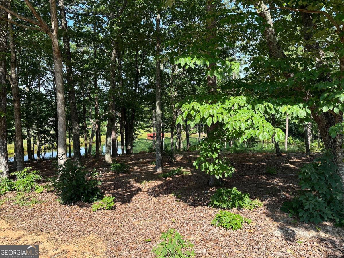 1117 Rome Beauty Clarkesville GA 30523