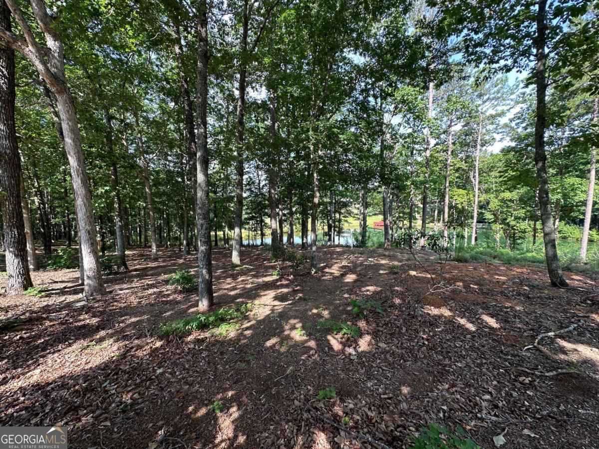 1117 Rome Beauty Clarkesville GA 30523