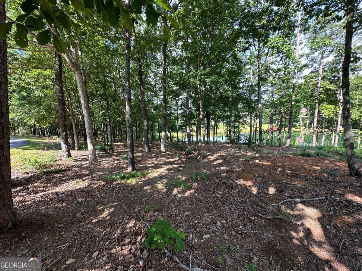 1117 Rome Beauty Clarkesville GA 30523