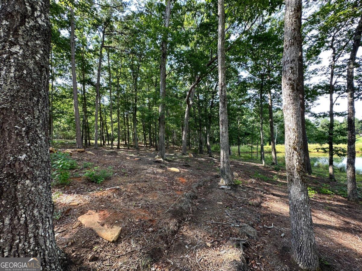 1117 Rome Beauty Clarkesville GA 30523