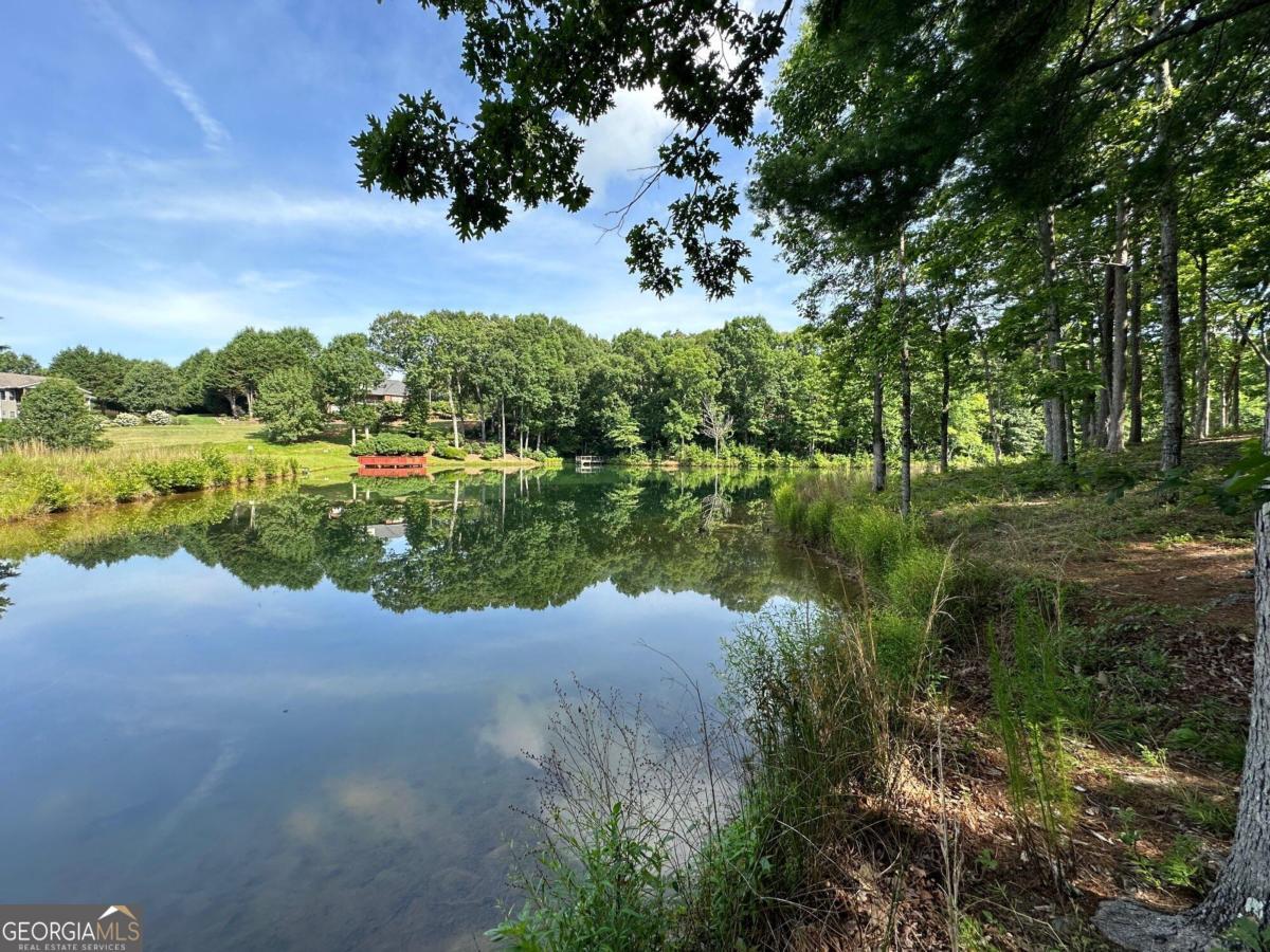 1117 Rome Beauty Clarkesville GA 30523