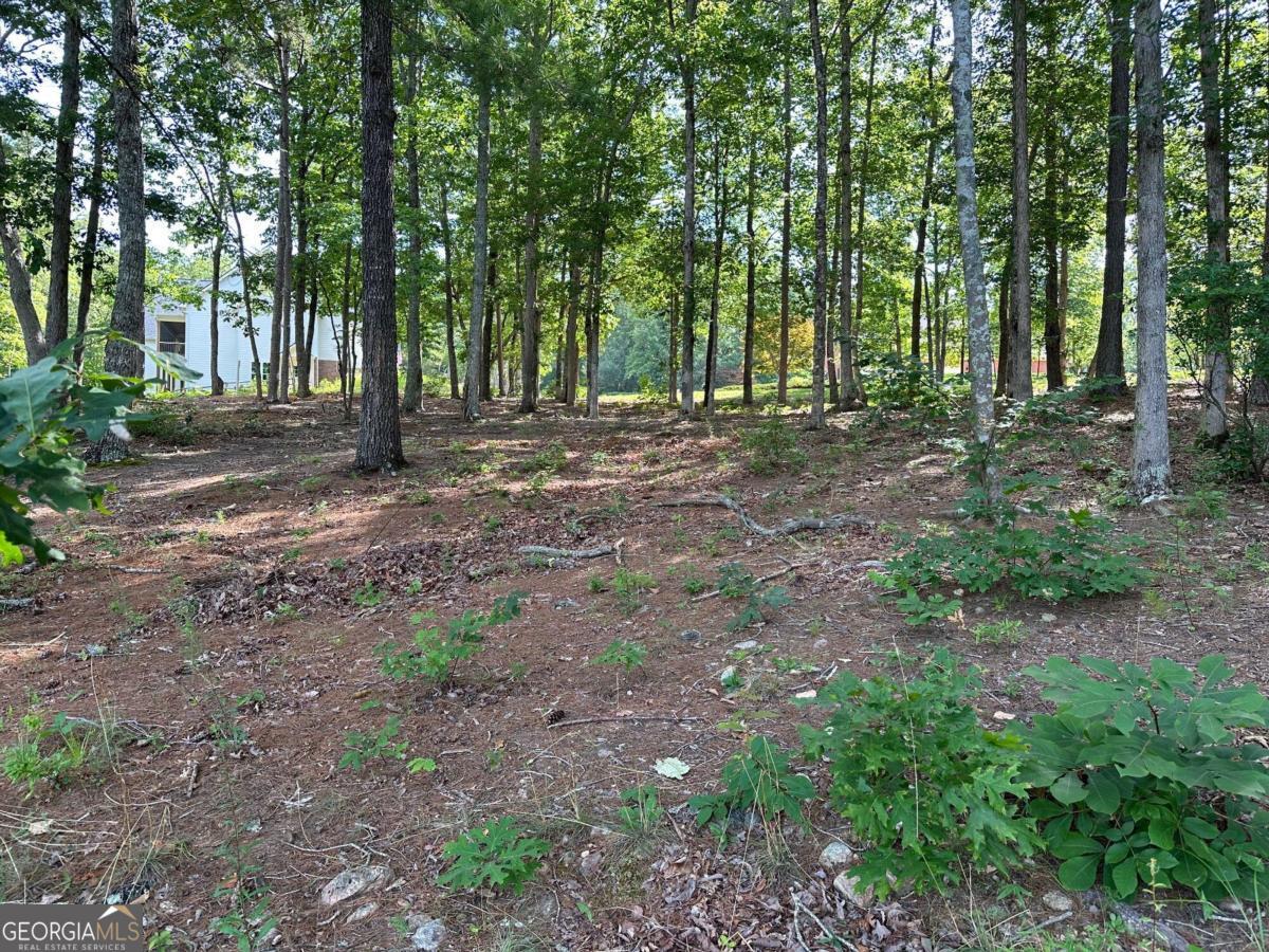 1117 Rome Beauty Clarkesville GA 30523