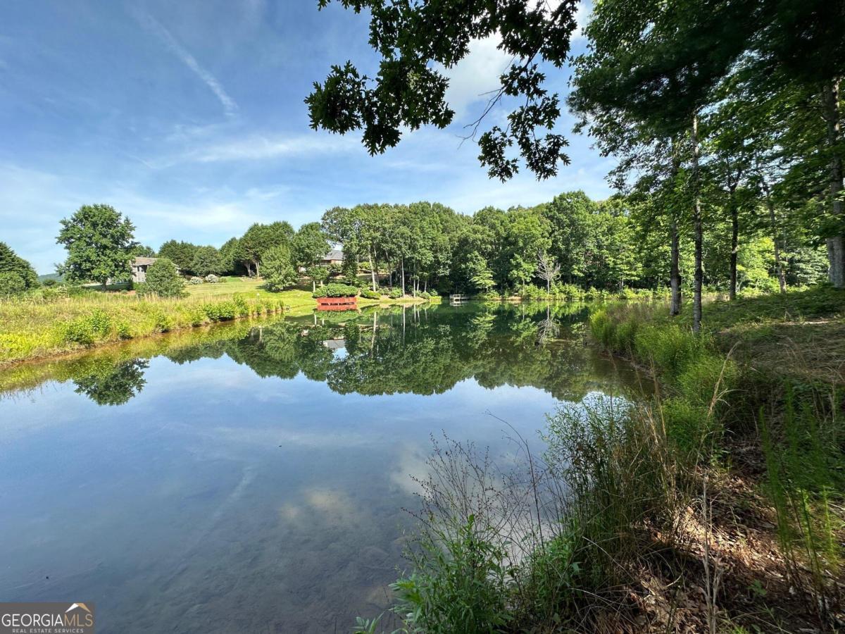 1117 Rome Beauty Clarkesville GA 30523