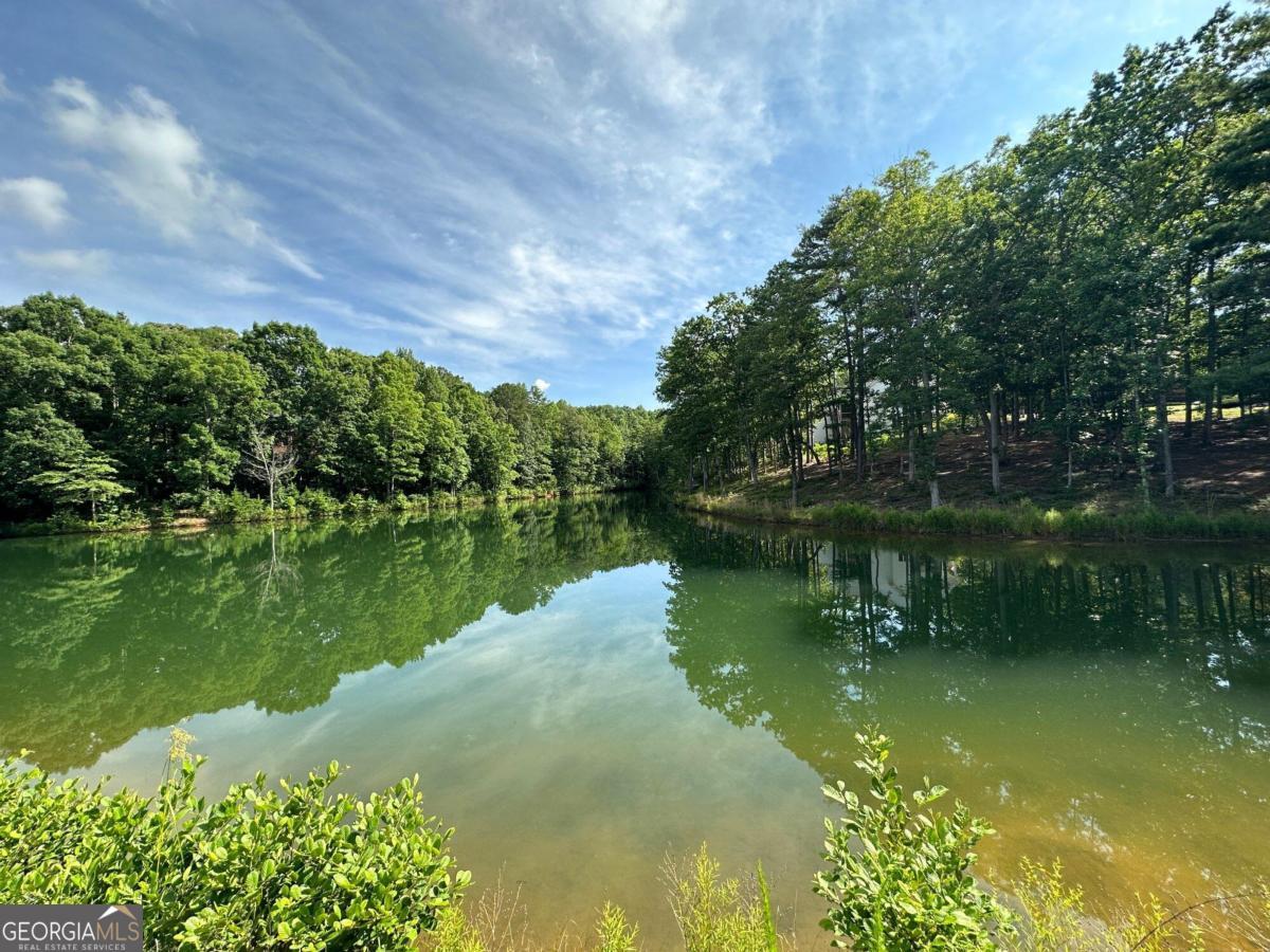 1117 Rome Beauty Clarkesville GA 30523
