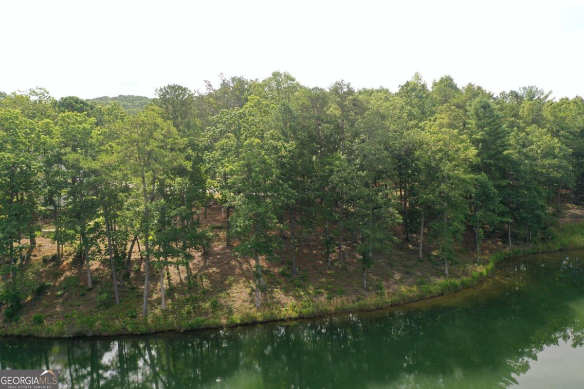 1117 Rome Beauty Clarkesville GA 30523