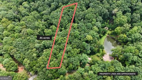 LOT 105 Wooten Road Cleveland GA 30528