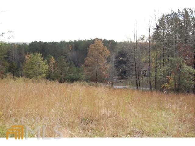 1200 Roy Brown Road Buchanan GA 30113