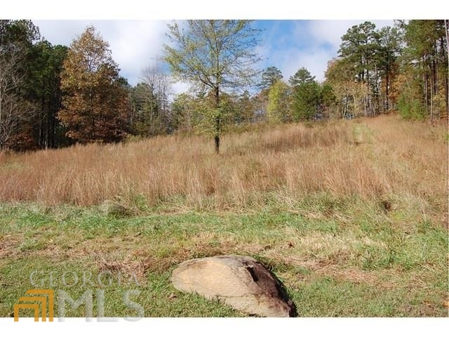 1200 Roy Brown Road Buchanan GA 30113