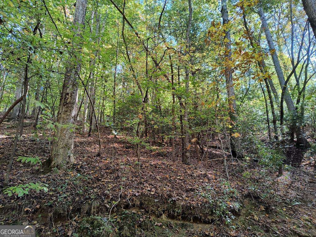 Lot 334 Cold Stream Court Ellijay GA 30540