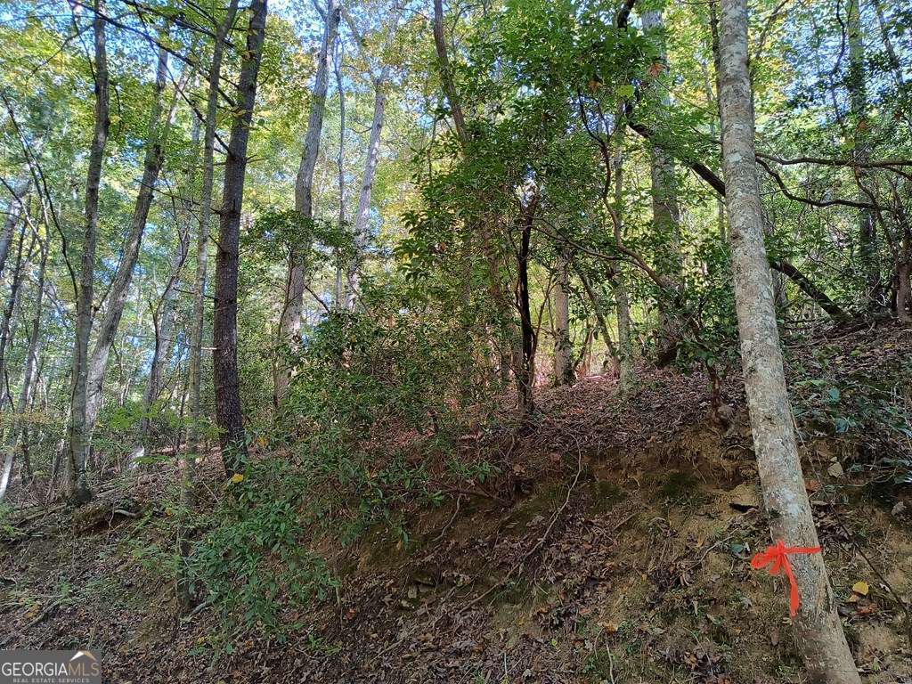 Lot 334 Cold Stream Court Ellijay GA 30540