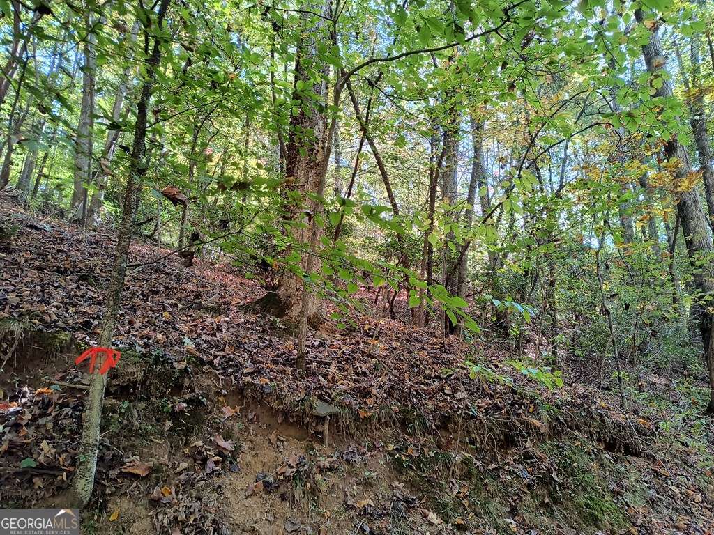 Lot 334 Cold Stream Court Ellijay GA 30540