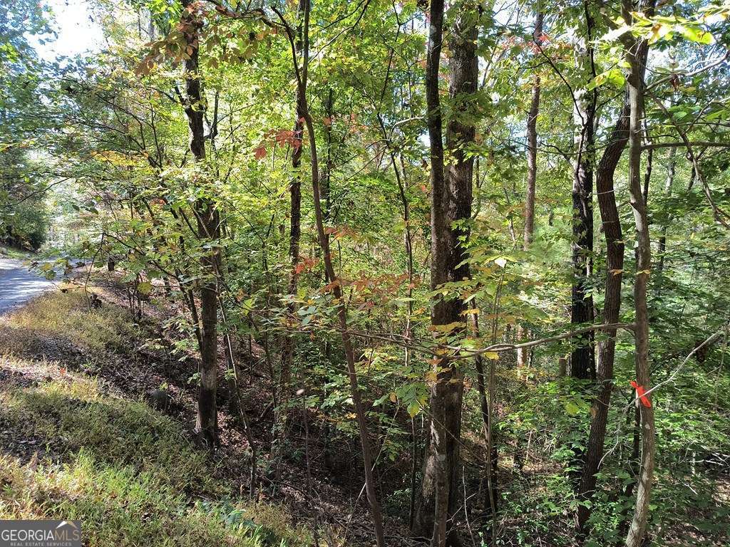 Lot 334 Cold Stream Court Ellijay GA 30540
