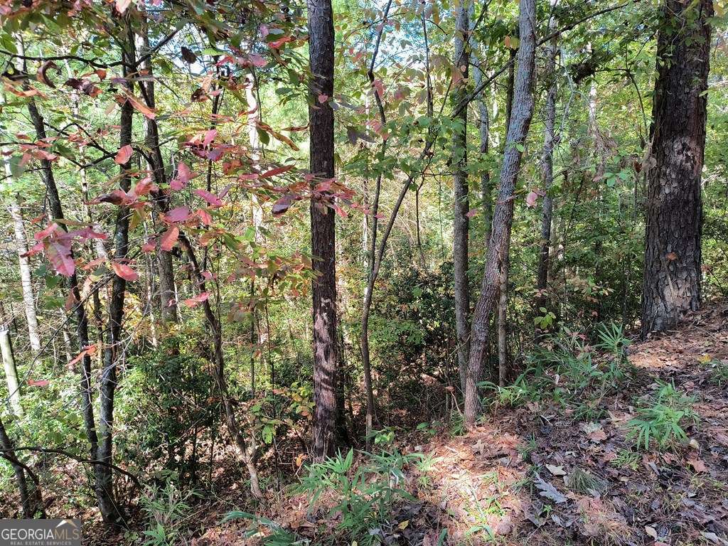 Lot 334 Cold Stream Court Ellijay GA 30540