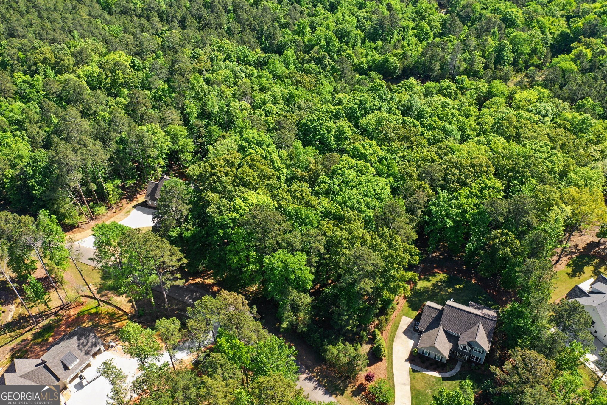 1021 Shadow Creek Way Greensboro GA 30642