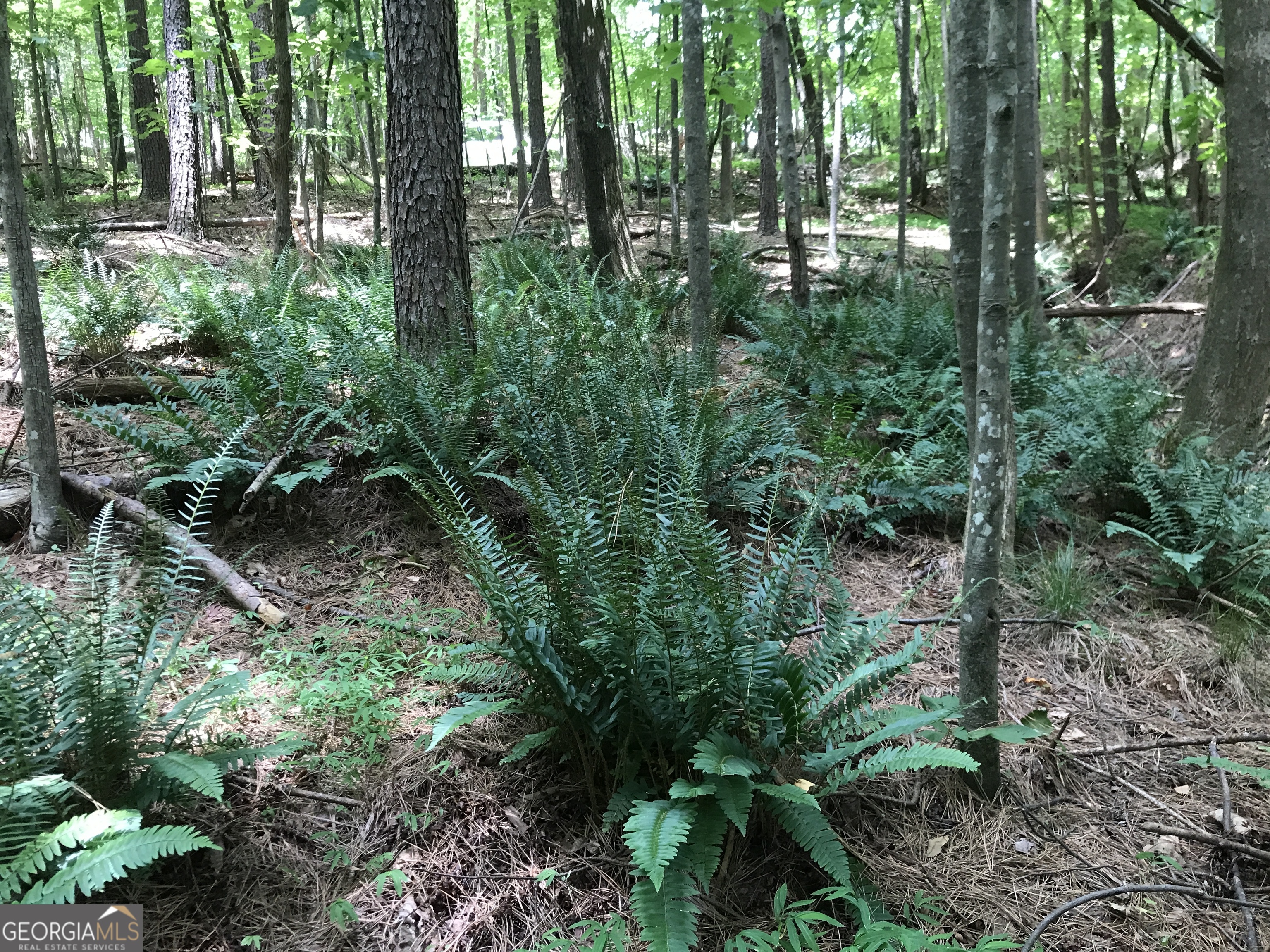 0 Moores Gin Road Fairmount GA 30139