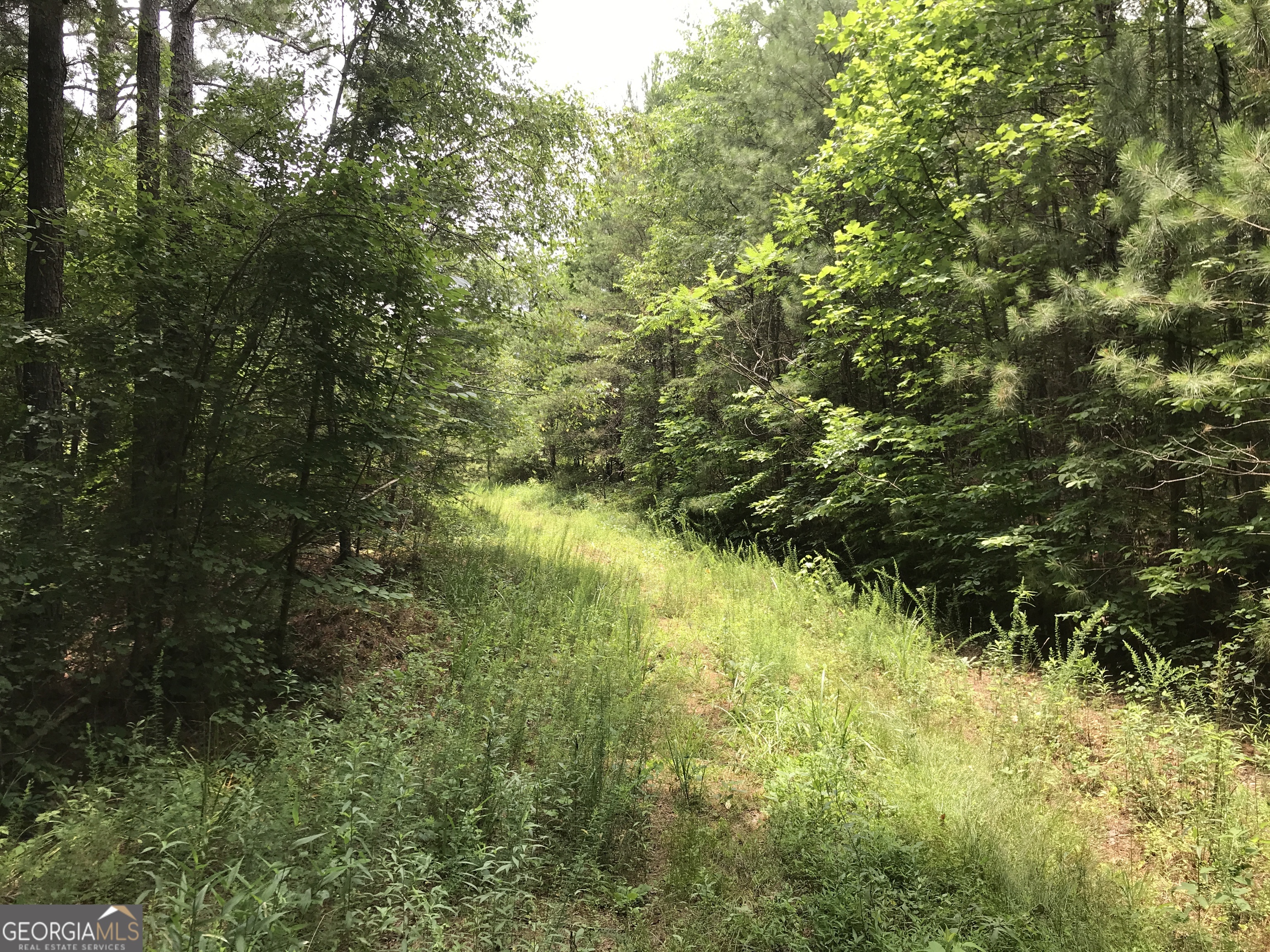 0 Moores Gin Road Fairmount GA 30139