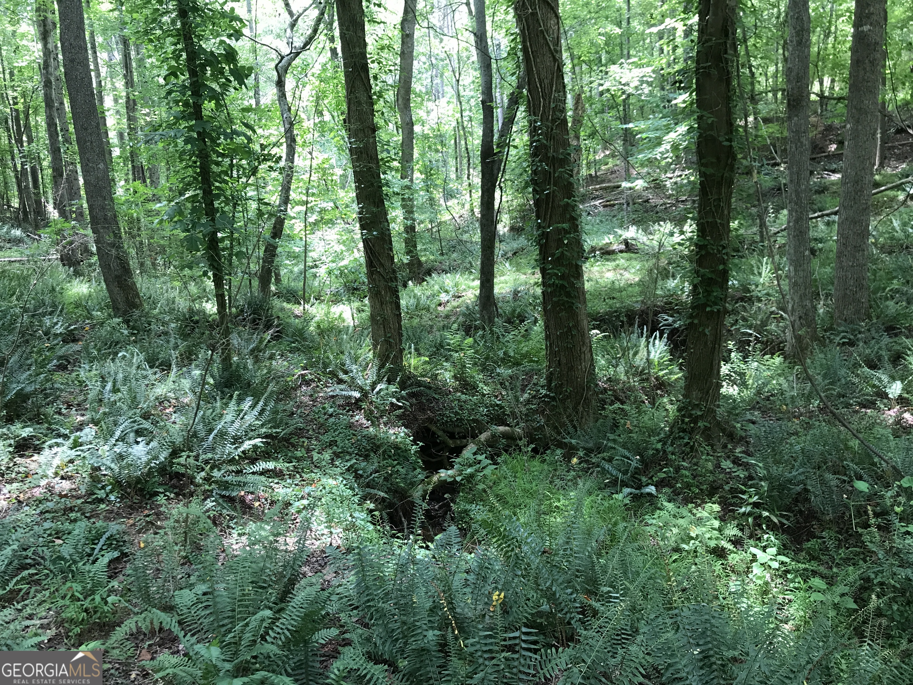 0 Moores Gin Road Fairmount GA 30139