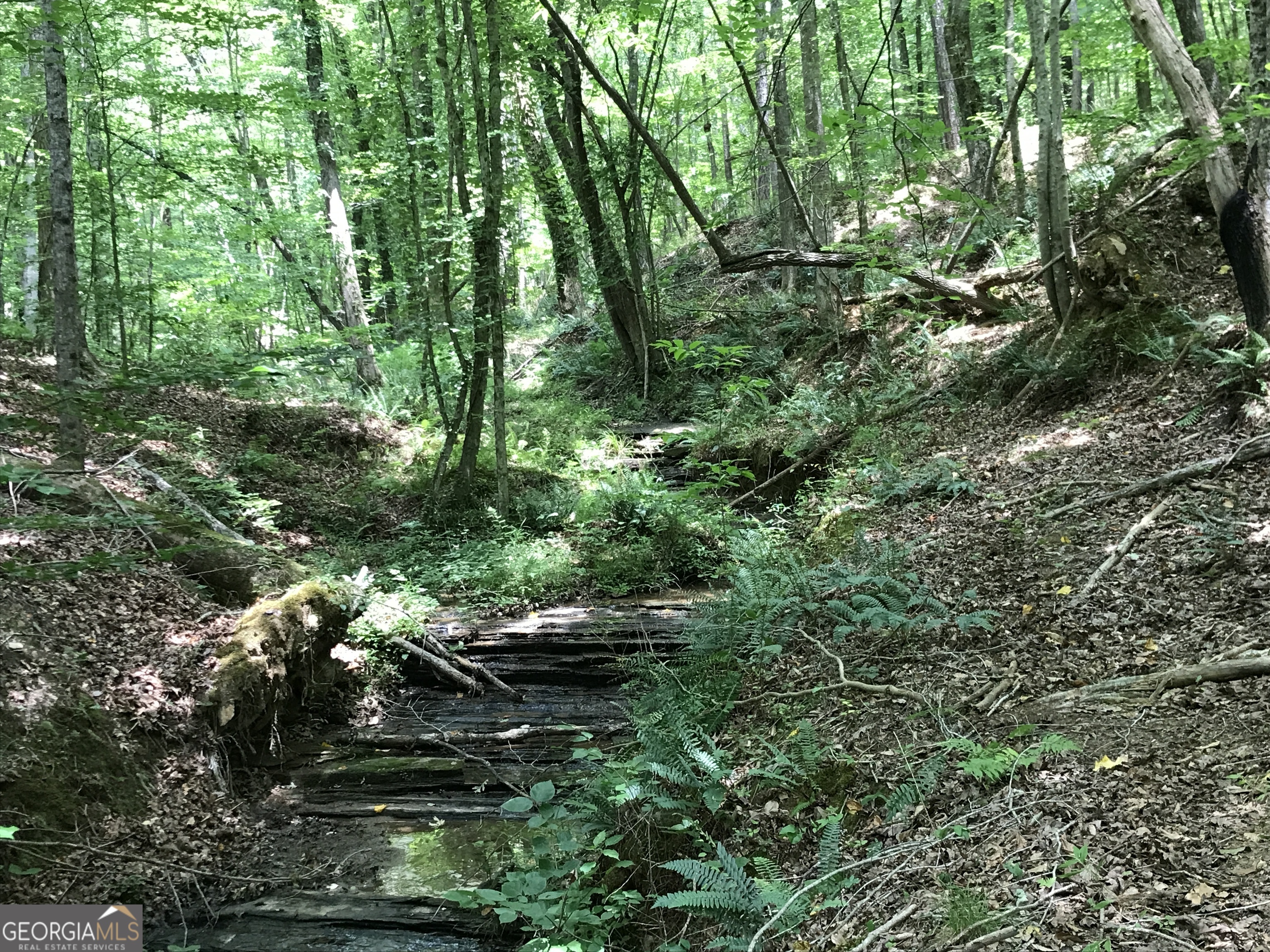 0 Moores Gin Road Fairmount GA 30139