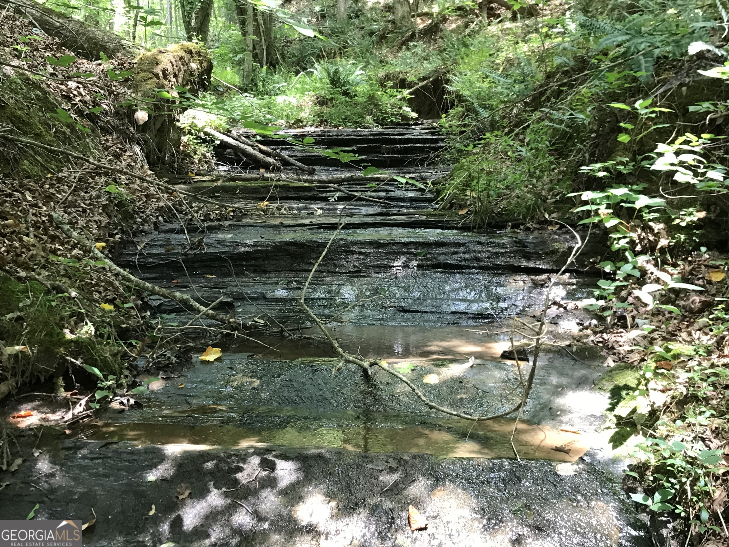 0 Moores Gin Road Fairmount GA 30139