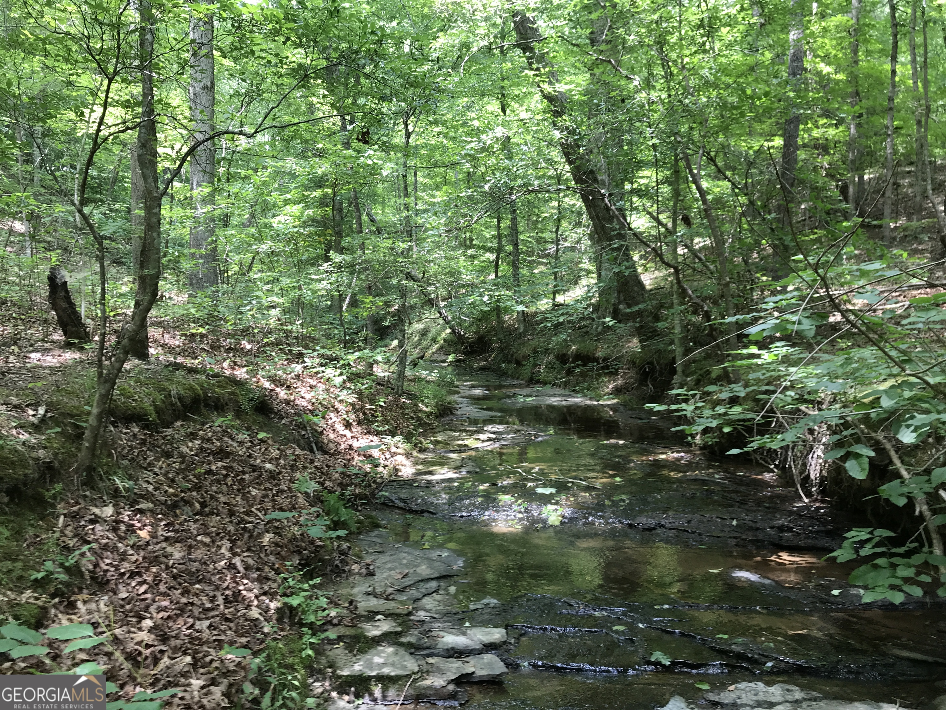 0 Moores Gin Road Fairmount GA 30139