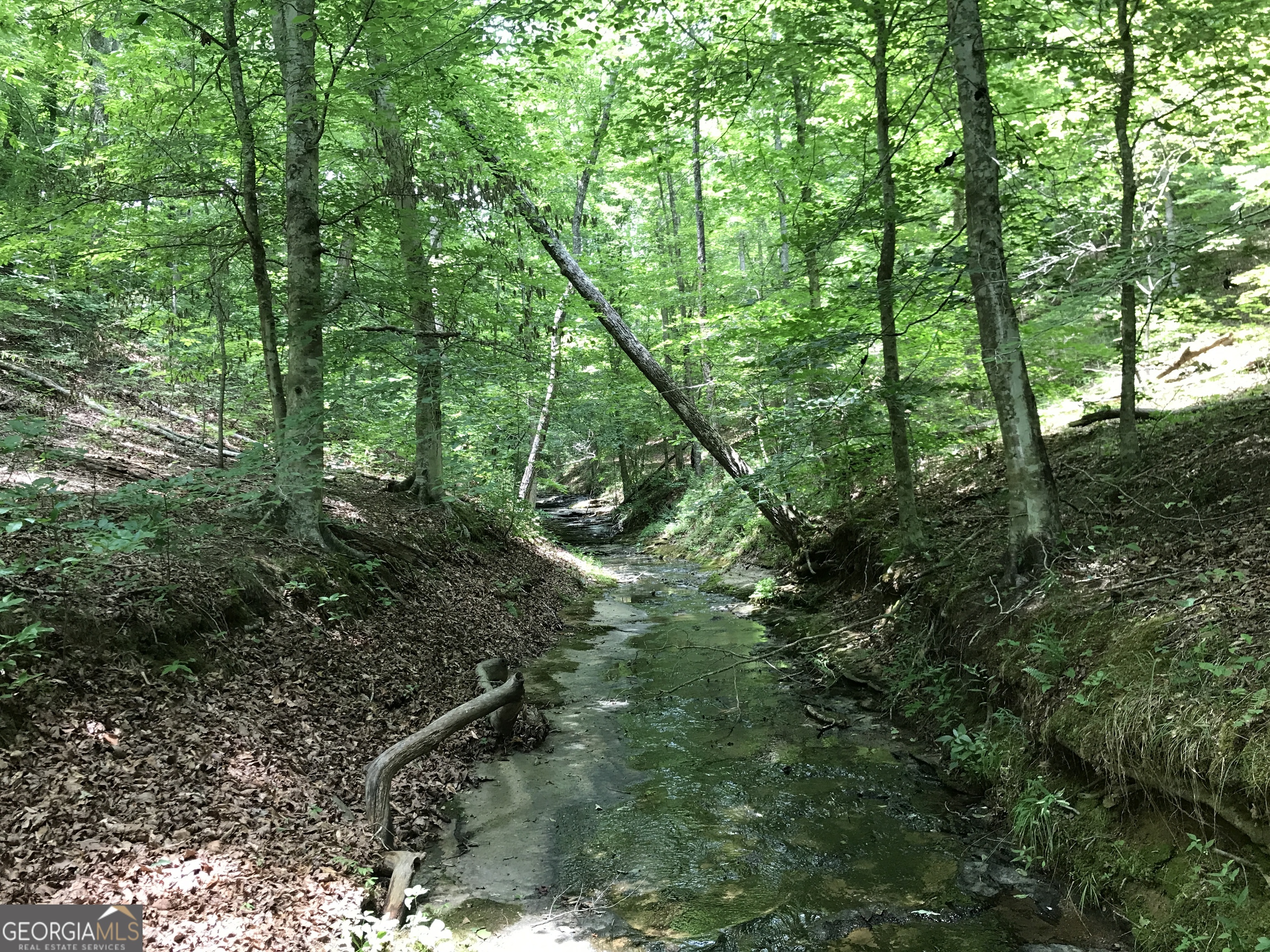 0 Moores Gin Road Fairmount GA 30139