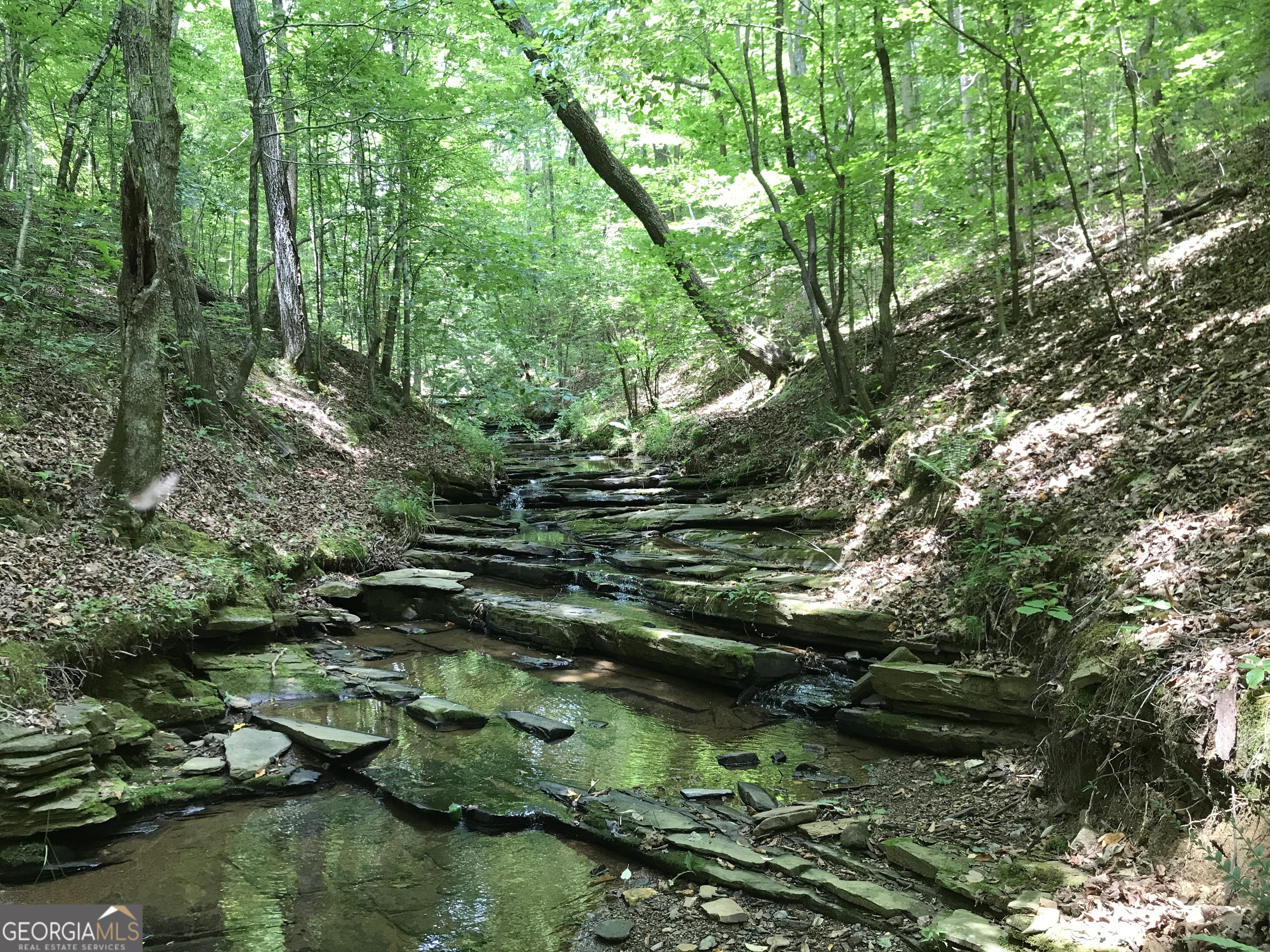 0 Moores Gin Road Fairmount GA 30139