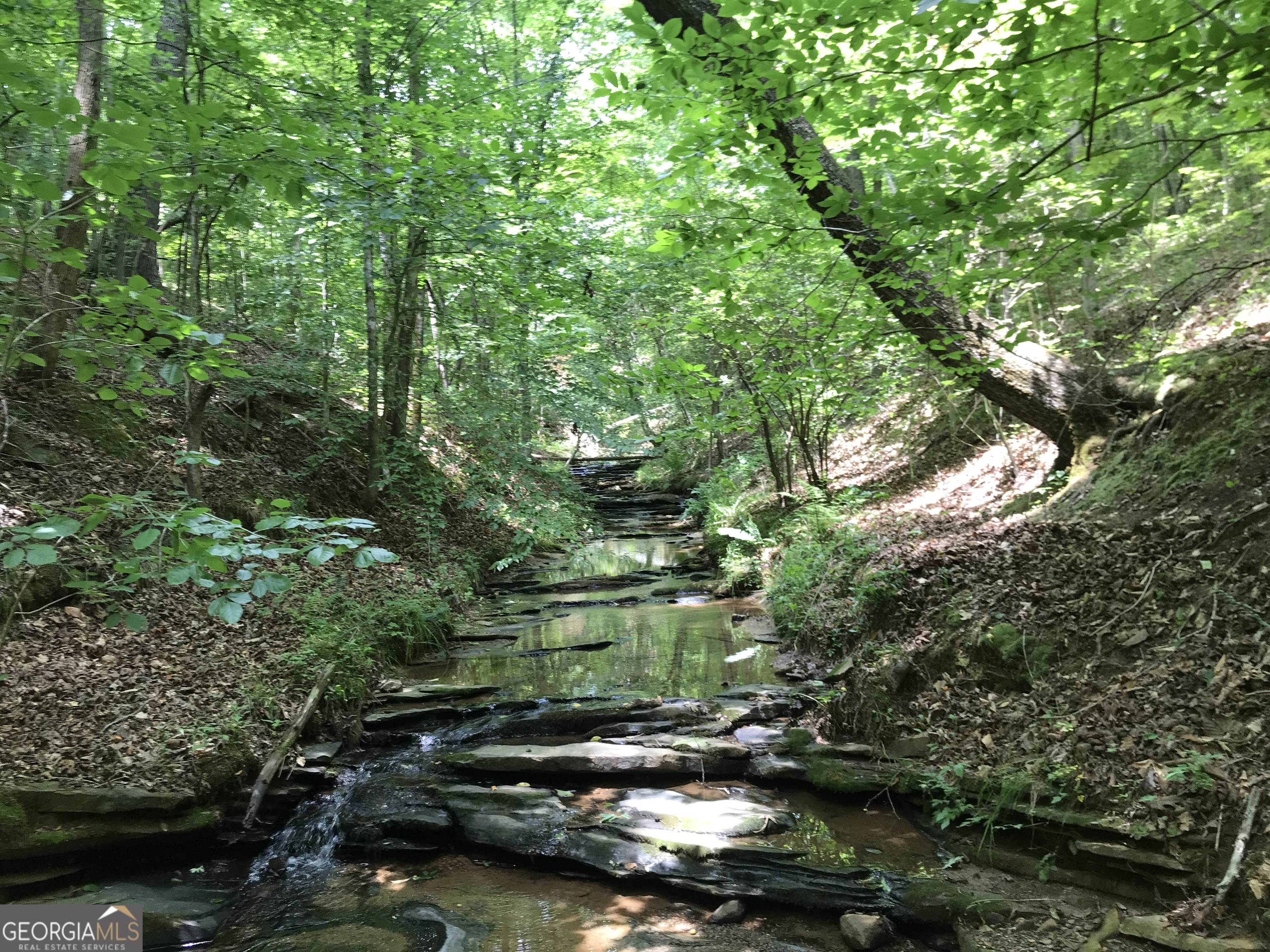 0 Moores Gin Road Fairmount GA 30139