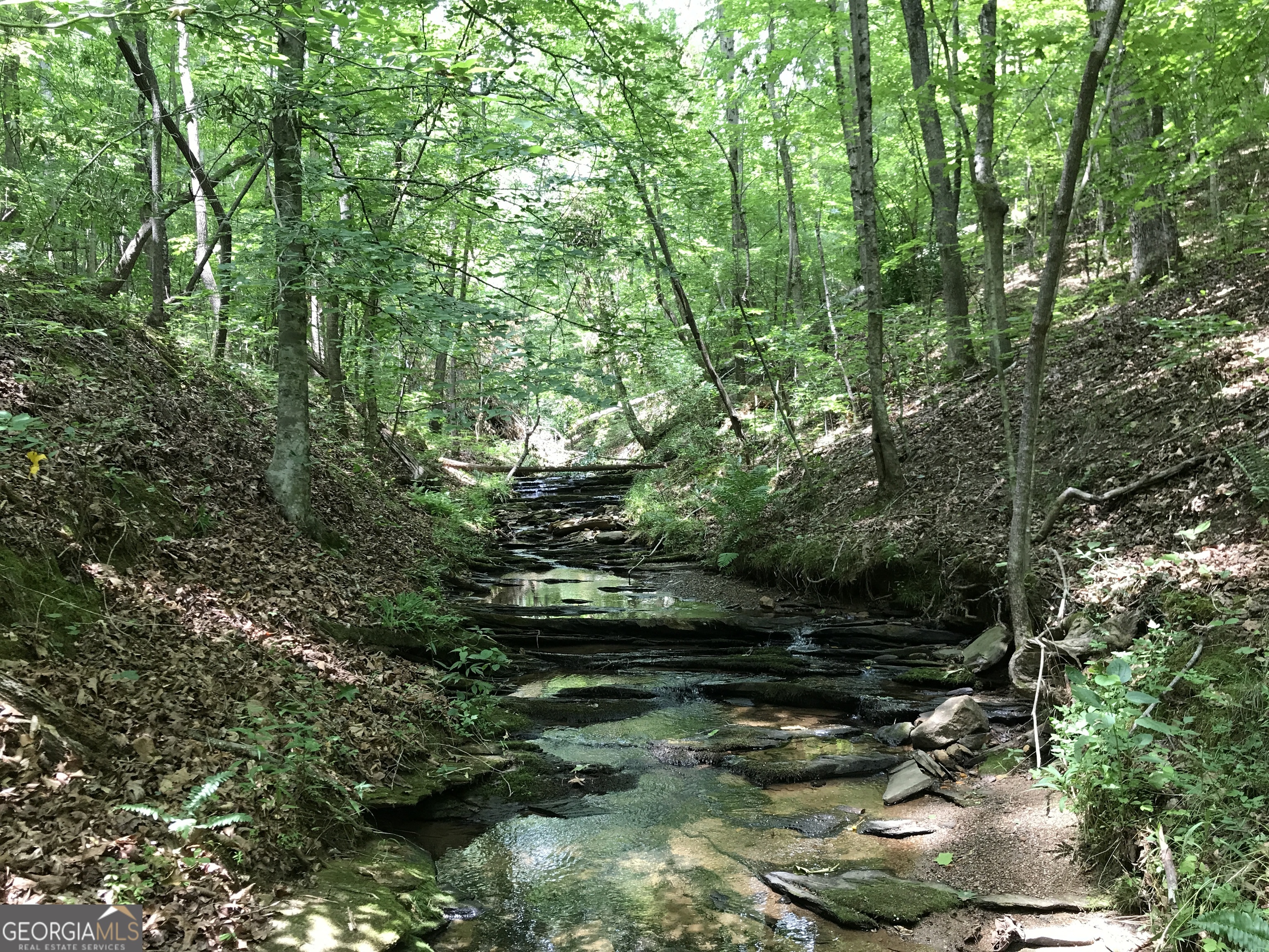 0 Moores Gin Road Fairmount GA 30139