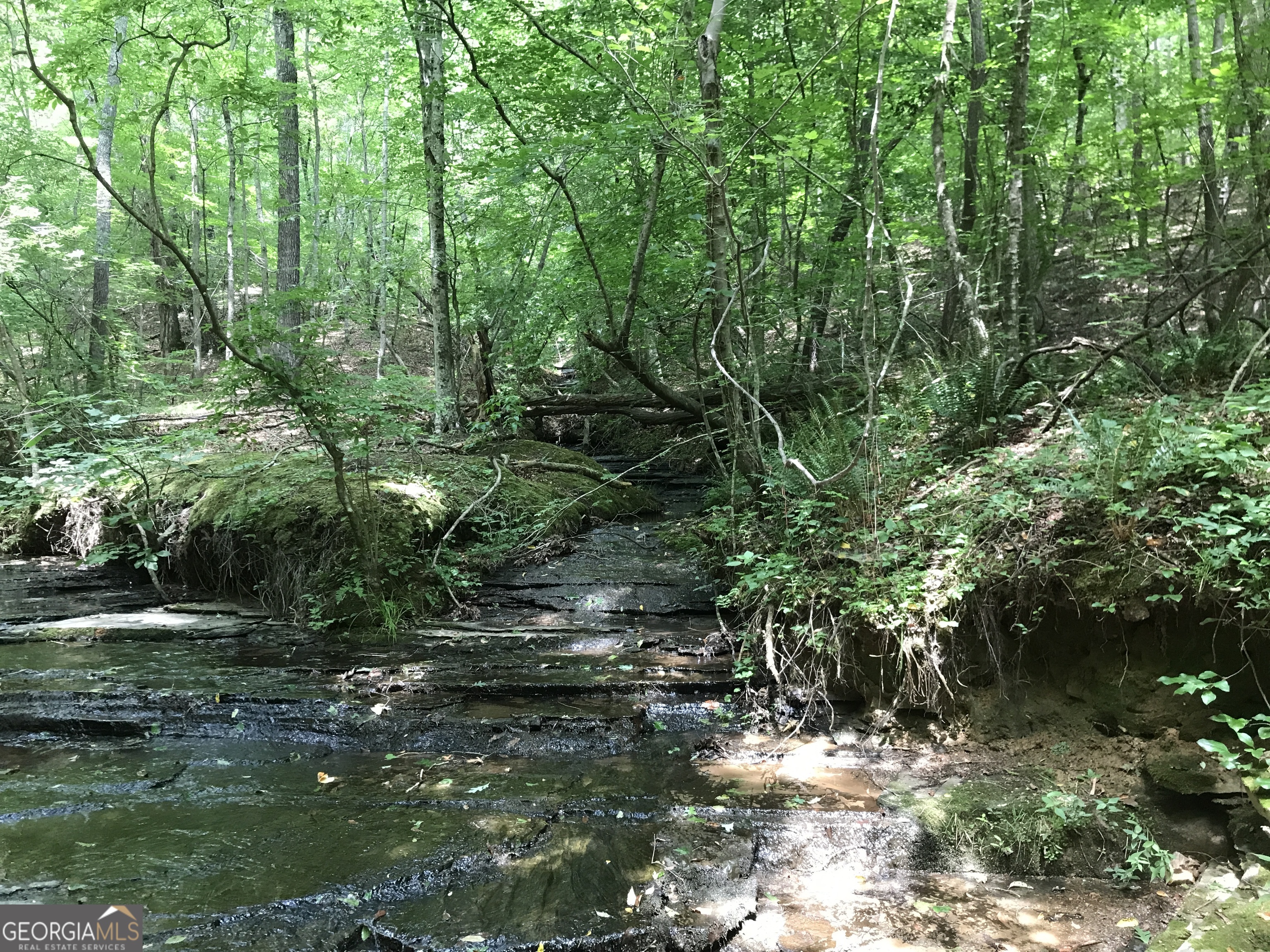 0 Moores Gin Road Fairmount GA 30139