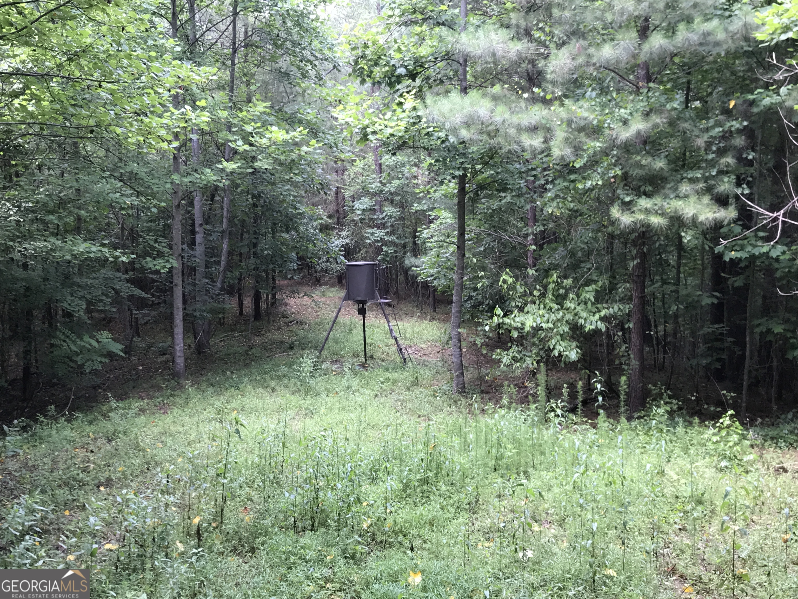 0 Moores Gin Road Fairmount GA 30139