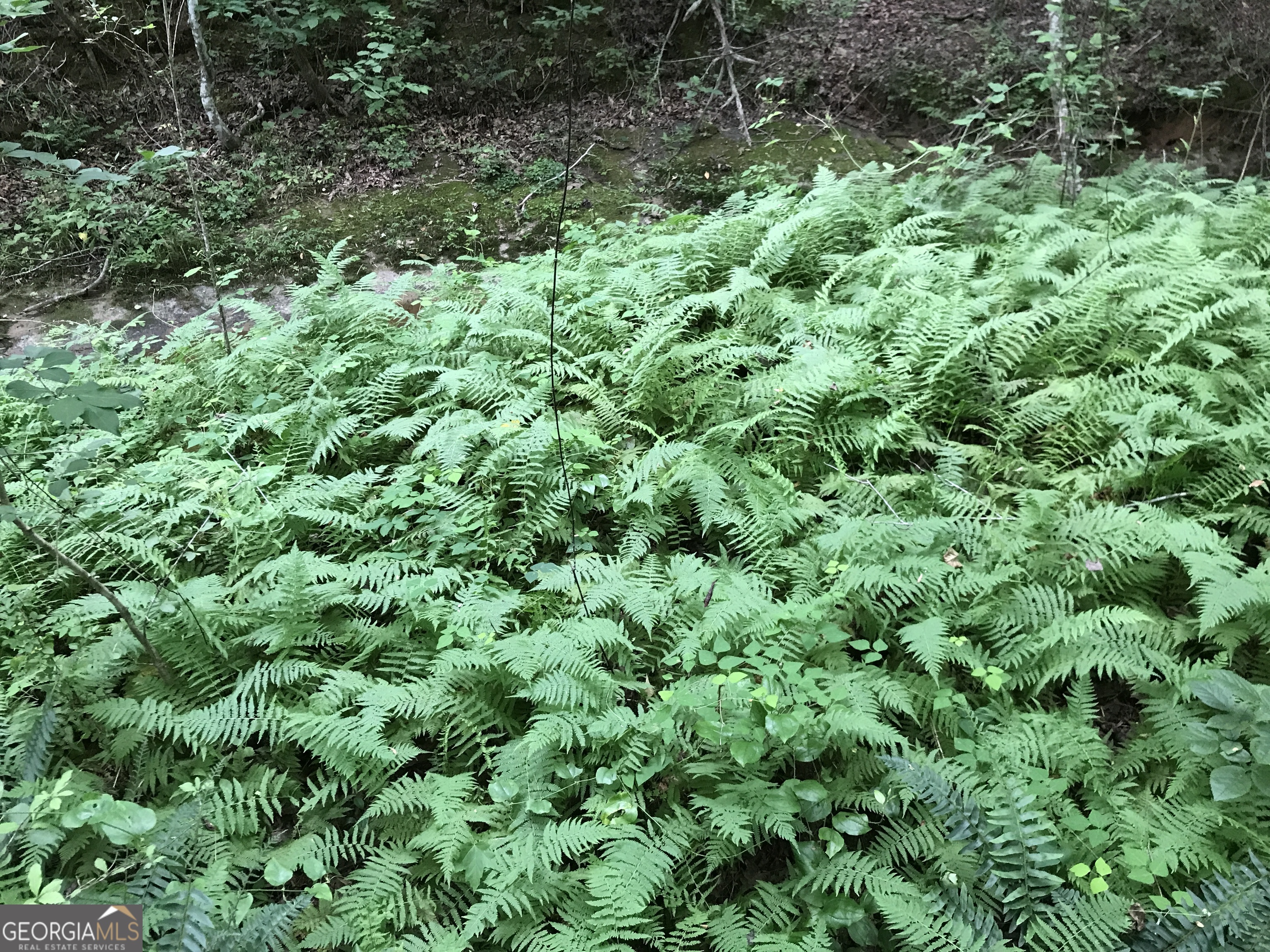 0 Moores Gin Road Fairmount GA 30139