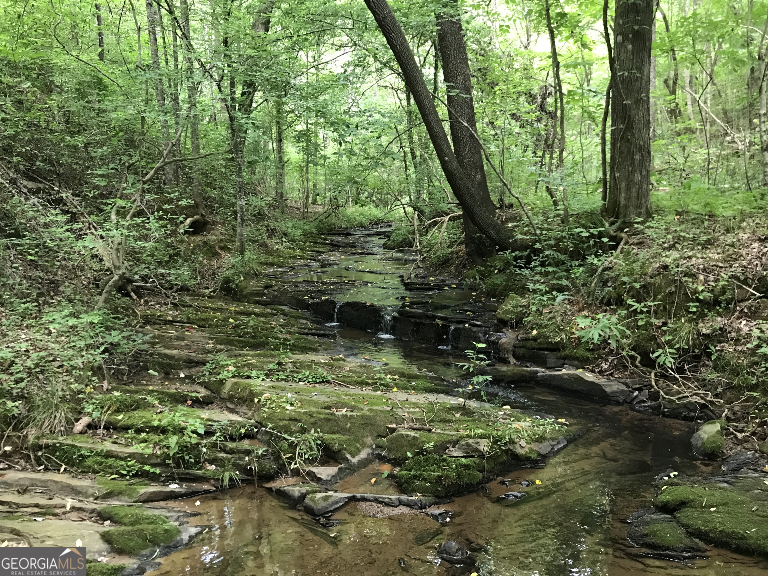 0 Moores Gin Road Fairmount GA 30139