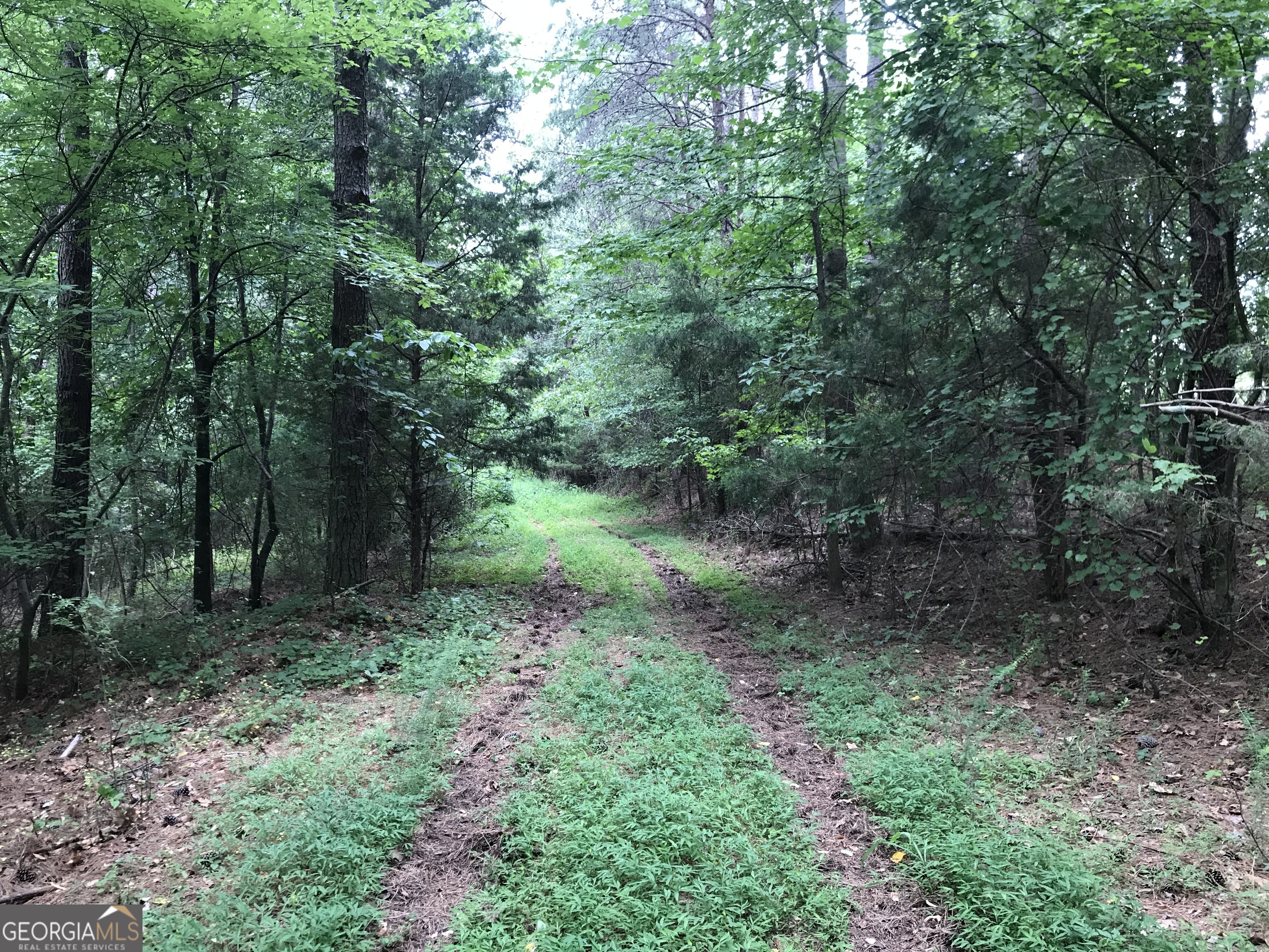 0 Moores Gin Road Fairmount GA 30139