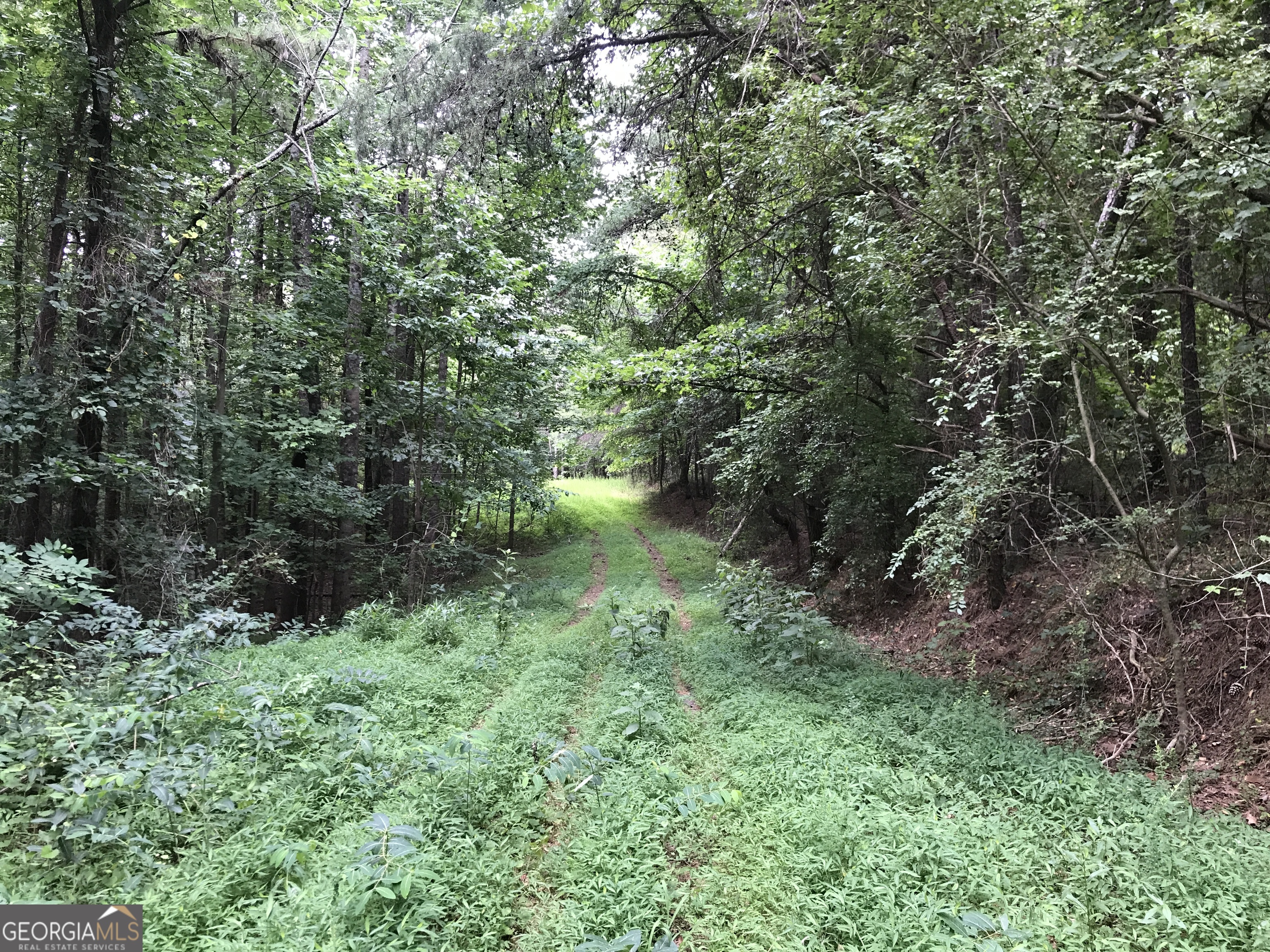 0 Moores Gin Road Fairmount GA 30139