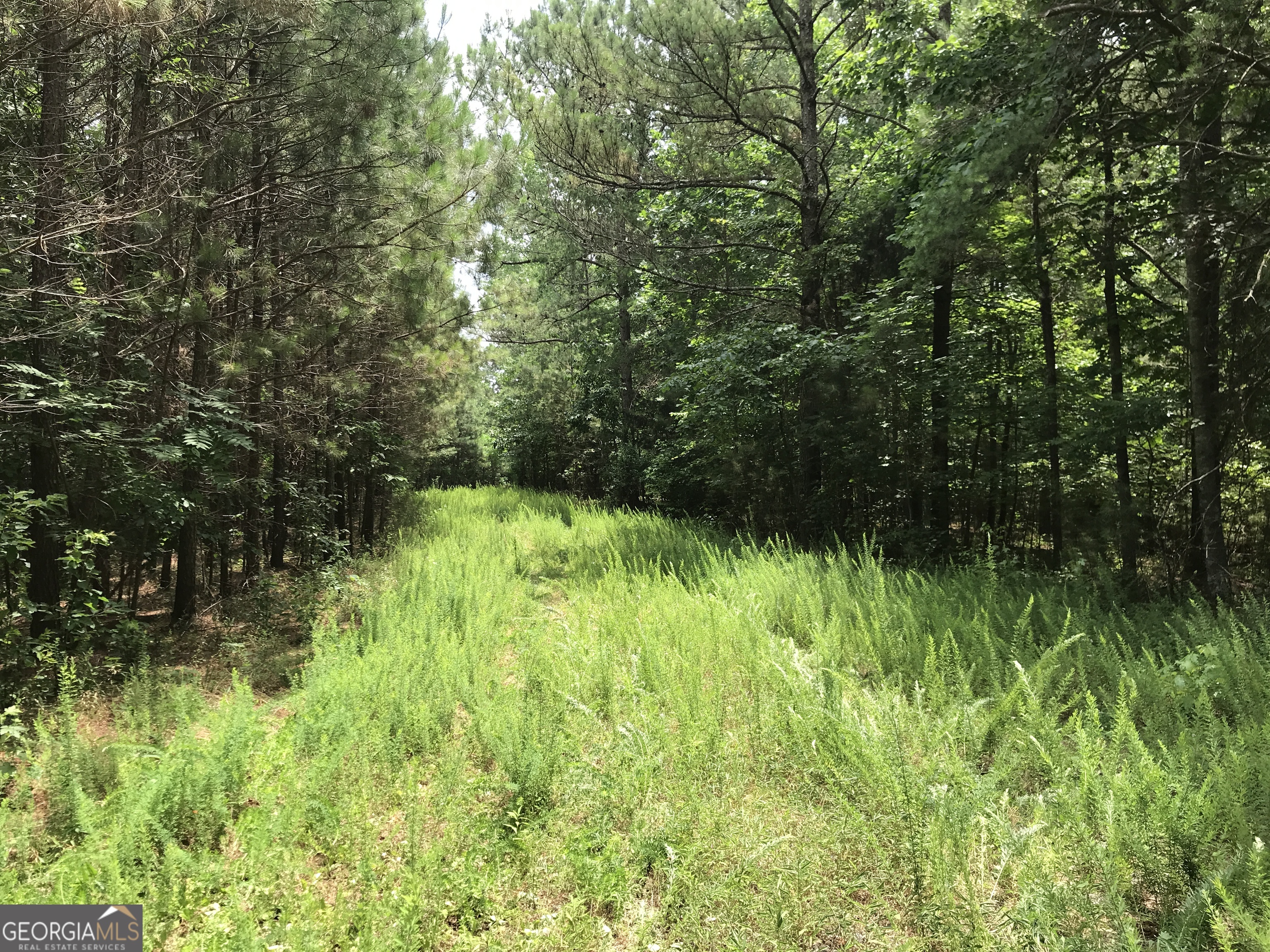 0 Moores Gin Road Fairmount GA 30139