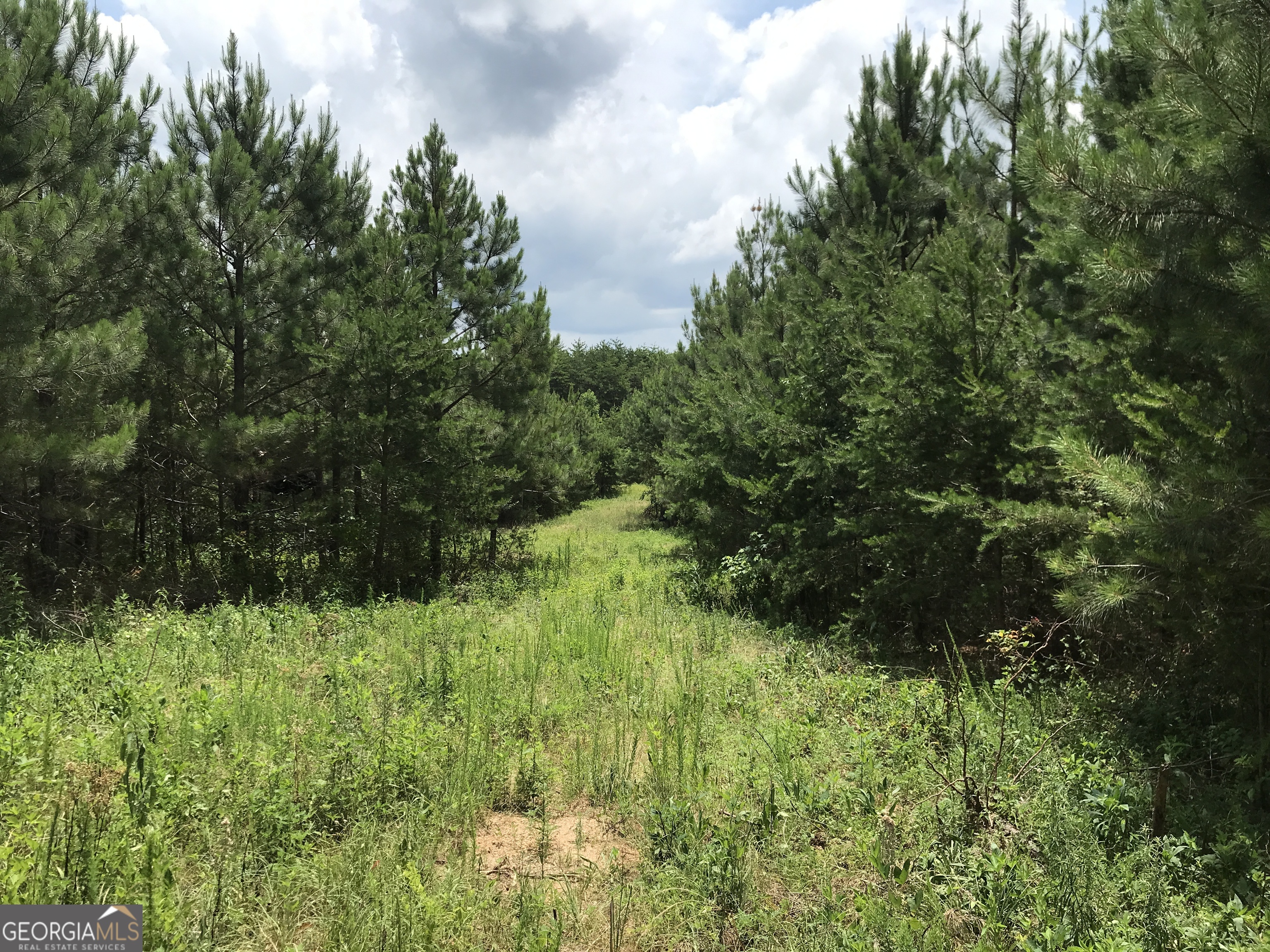 0 Moores Gin Road Fairmount GA 30139