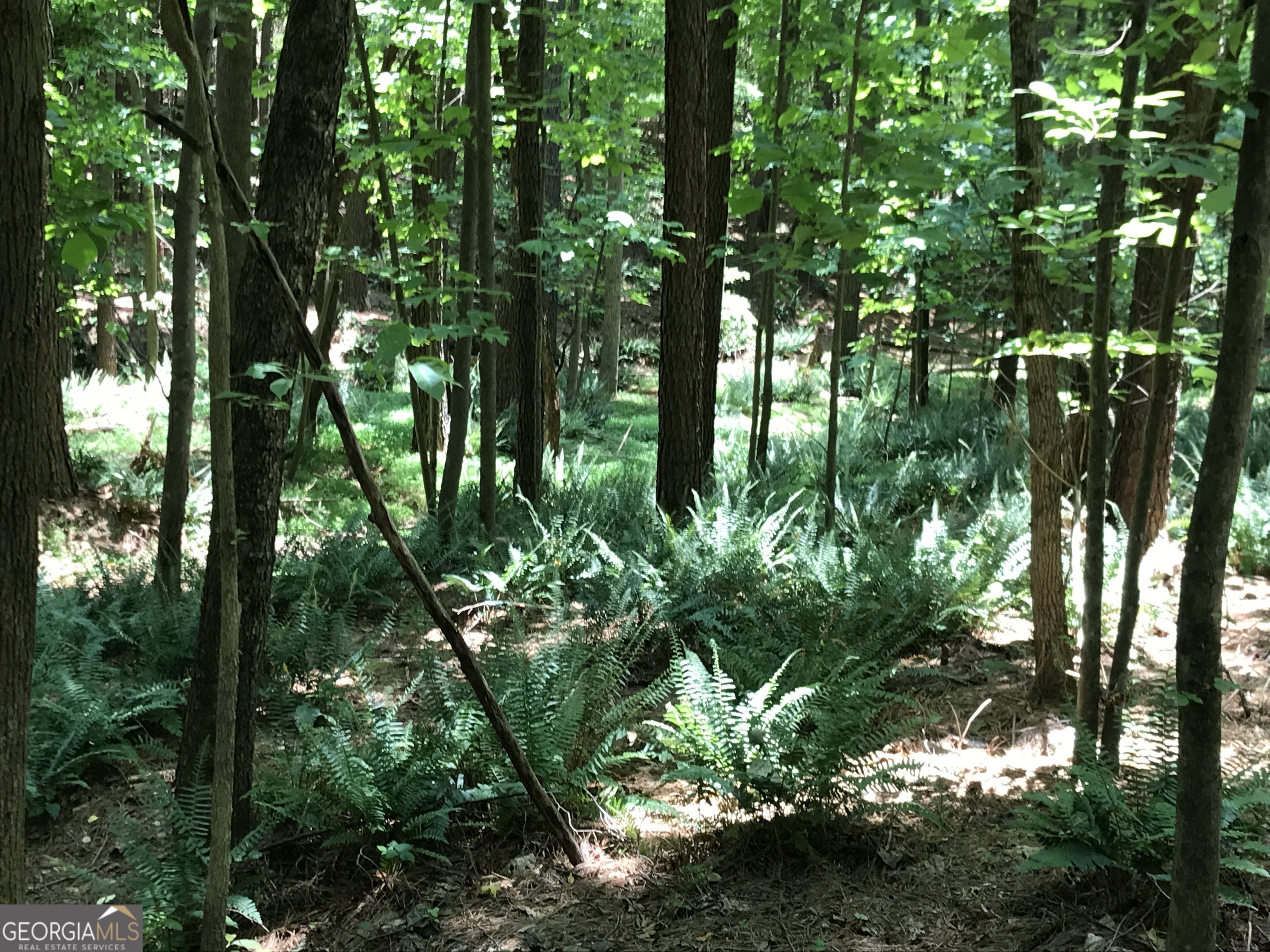 0 Moores Gin Road Fairmount GA 30139