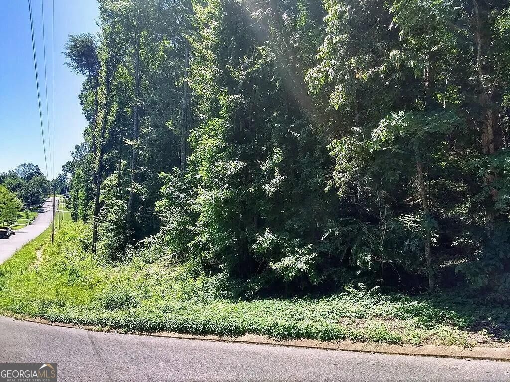 225 Hickory Ridge Trail Ringgold GA 30736