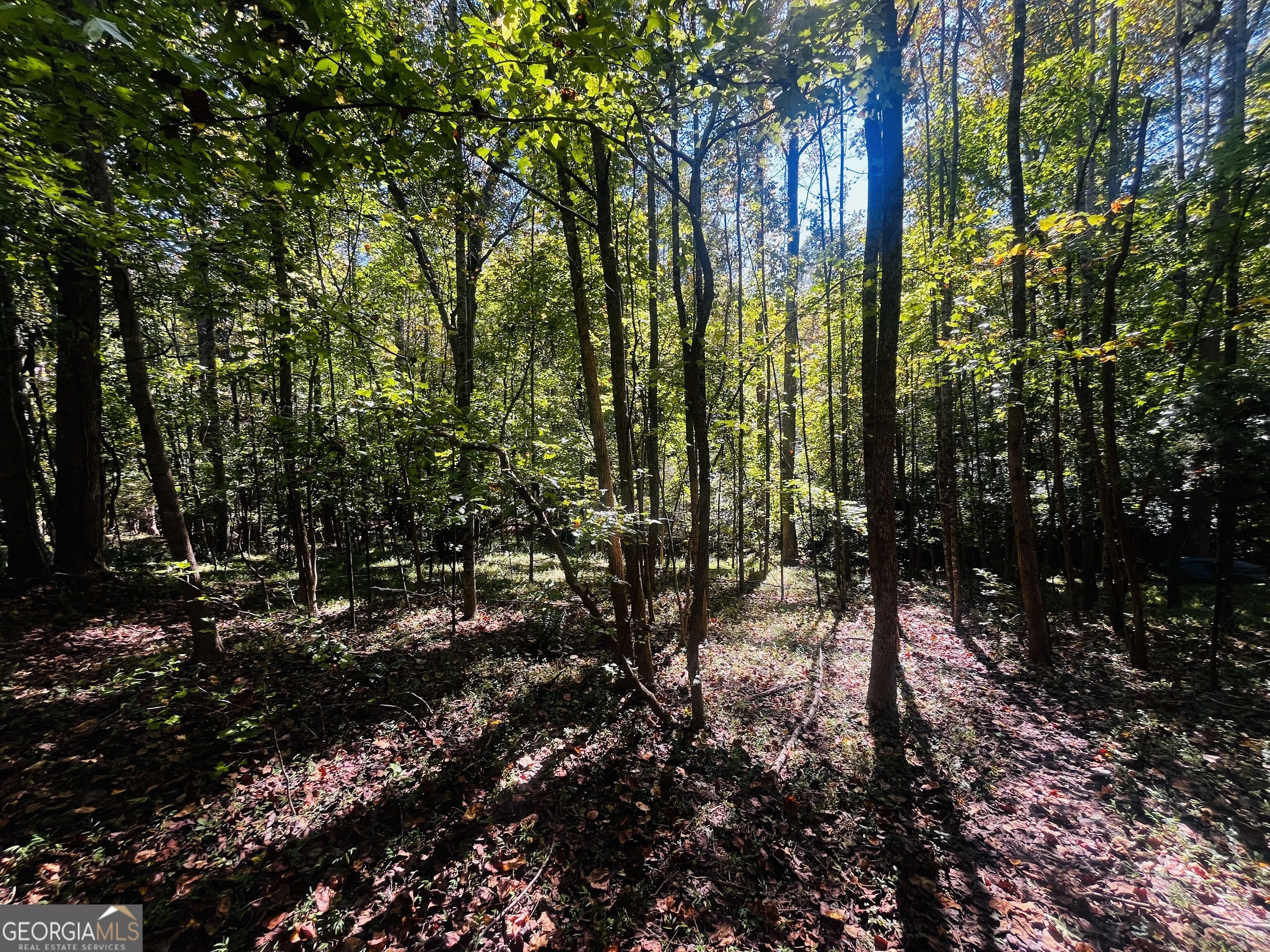 Lot 14 Lakeview Court Baldwin GA 30511